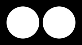 Your Standard Agency