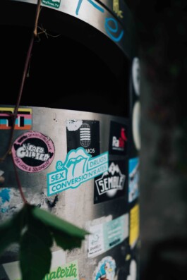 Your Standard Agency