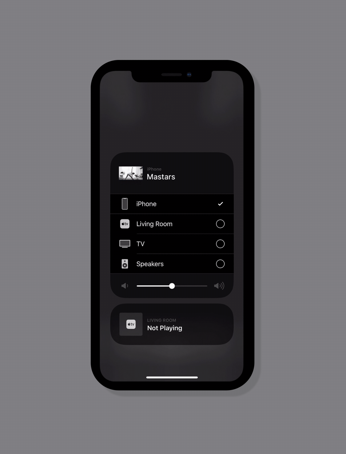 Your Standard Agency