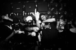 Your Standard Agency